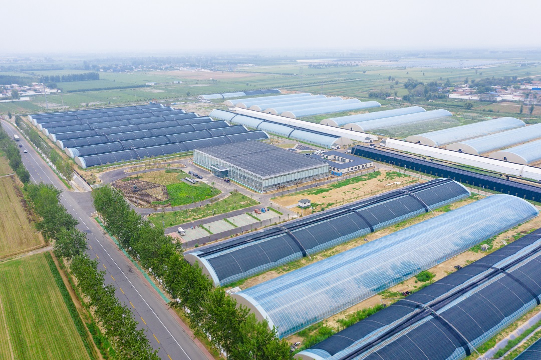 如何选择京钢钢铁？口碑与质量兼顾的指南