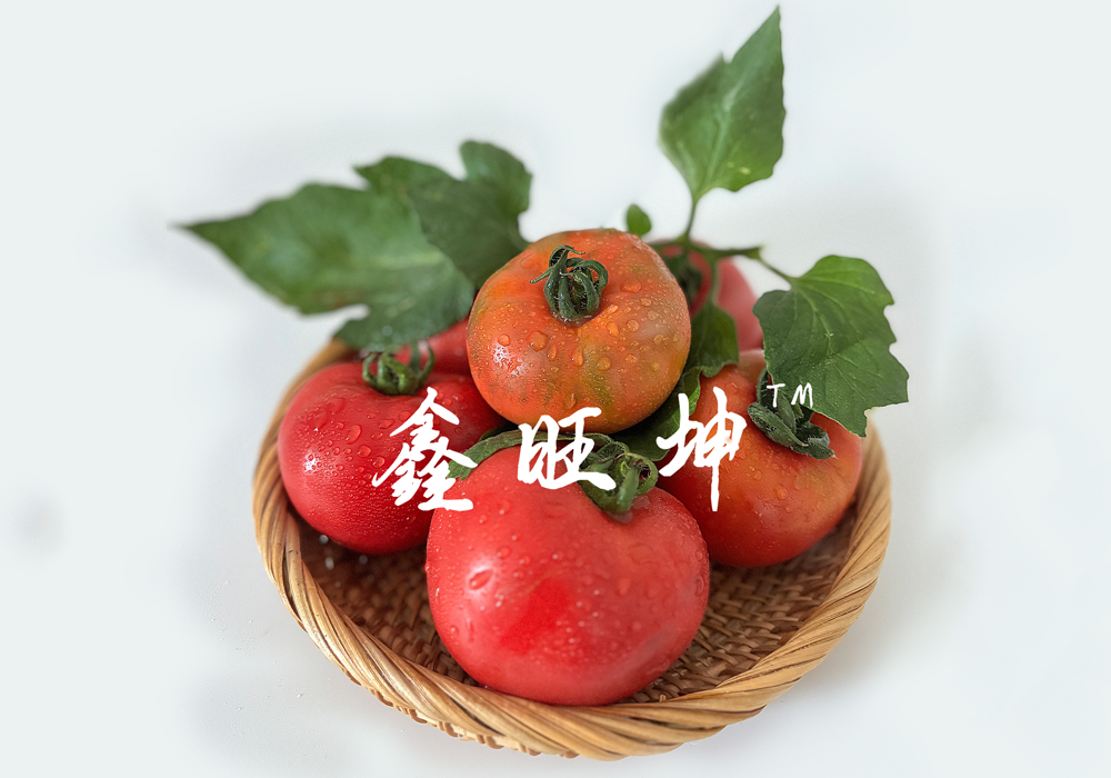 2026年西红柿种子公司推荐，鑫旺坤农业品种优势显著