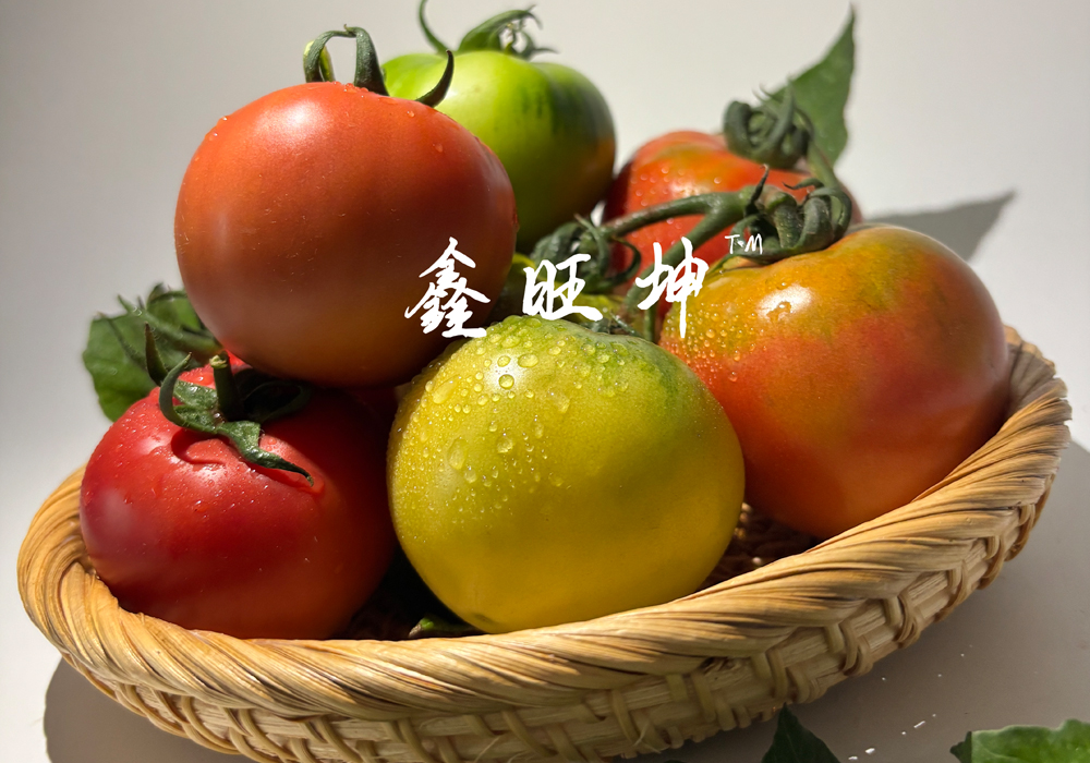 鑫旺坤农业的西红柿种子，产量高口感好，你值得拥有