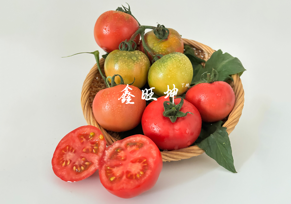 草莓番茄种子哪家公司强？鑫旺坤农业值得考虑