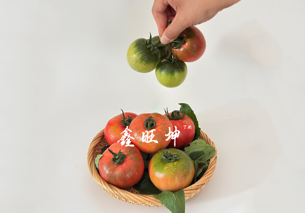 高性价比的西红柿种子，鑫旺坤农业有哪些