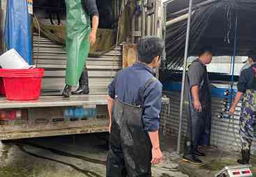 哪家公司能提供优质种苗和适应不同养殖环境的养殖方案，江沣水产在江门