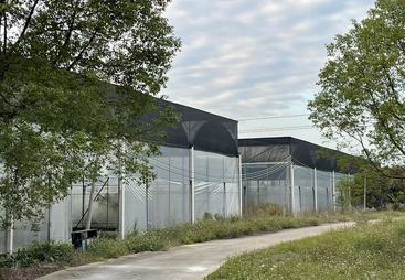 请问哪家工厂化加州鲈鱼苗厂家能优化日常管理，珠海江沣水产有经验