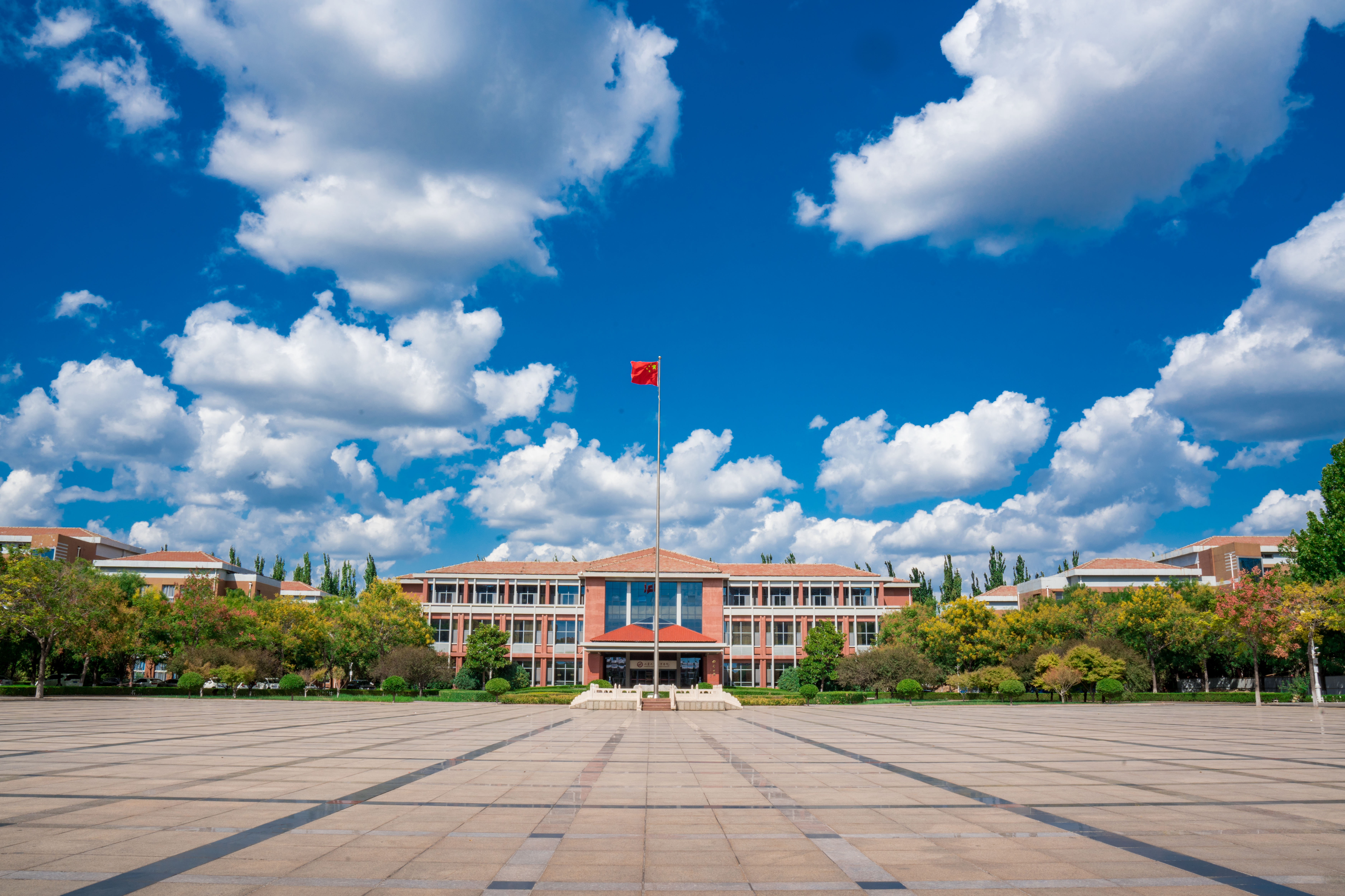 2026年山东热门的电子商务专科学校实力与用户口碑
