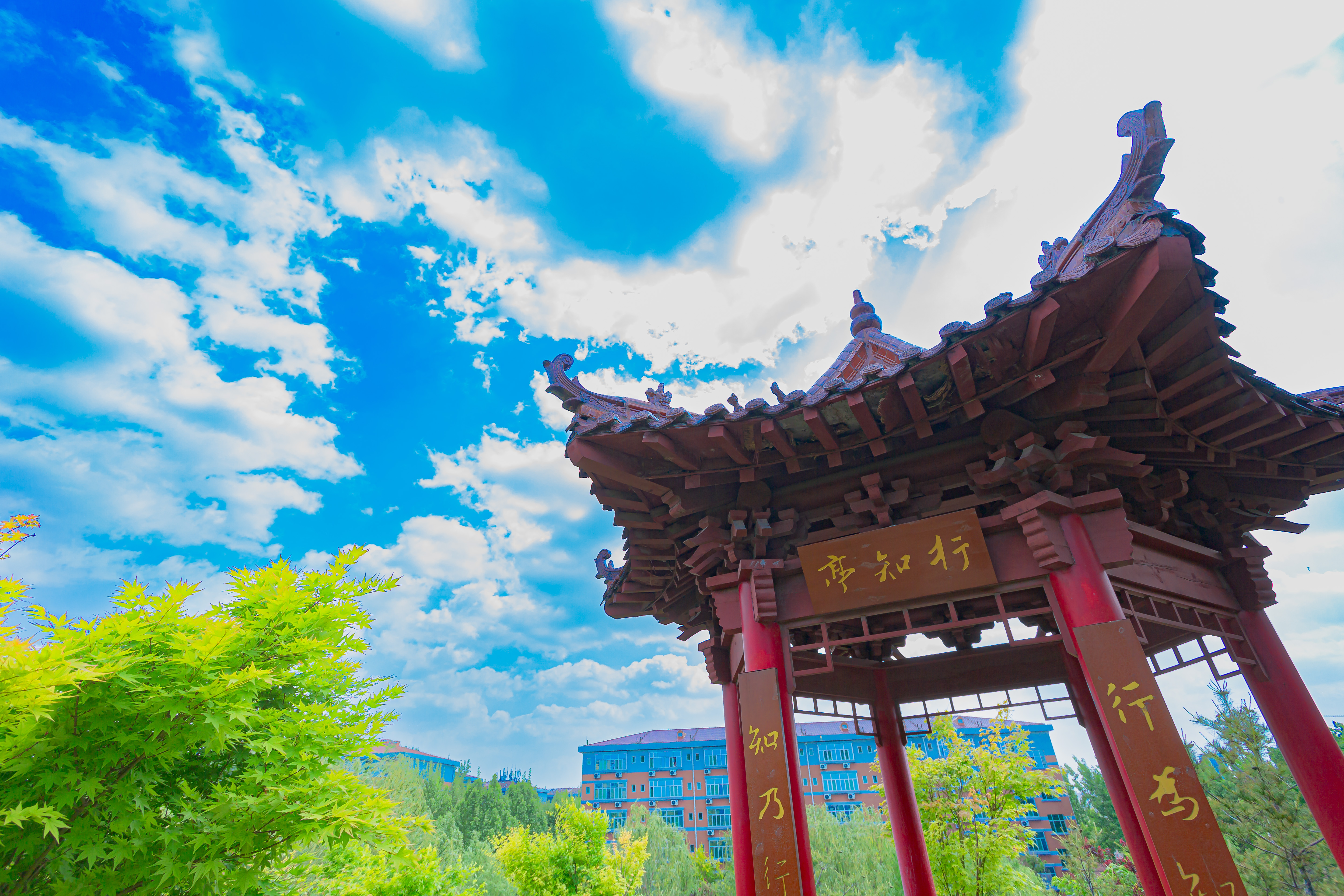 2026年想在淄博读专科找什么学校推荐