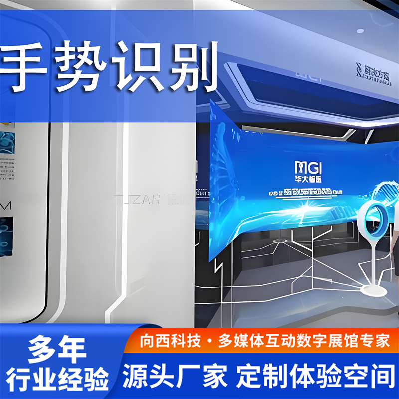 2026手势识别优质厂家口碑推荐，实力测评不踩坑指南
