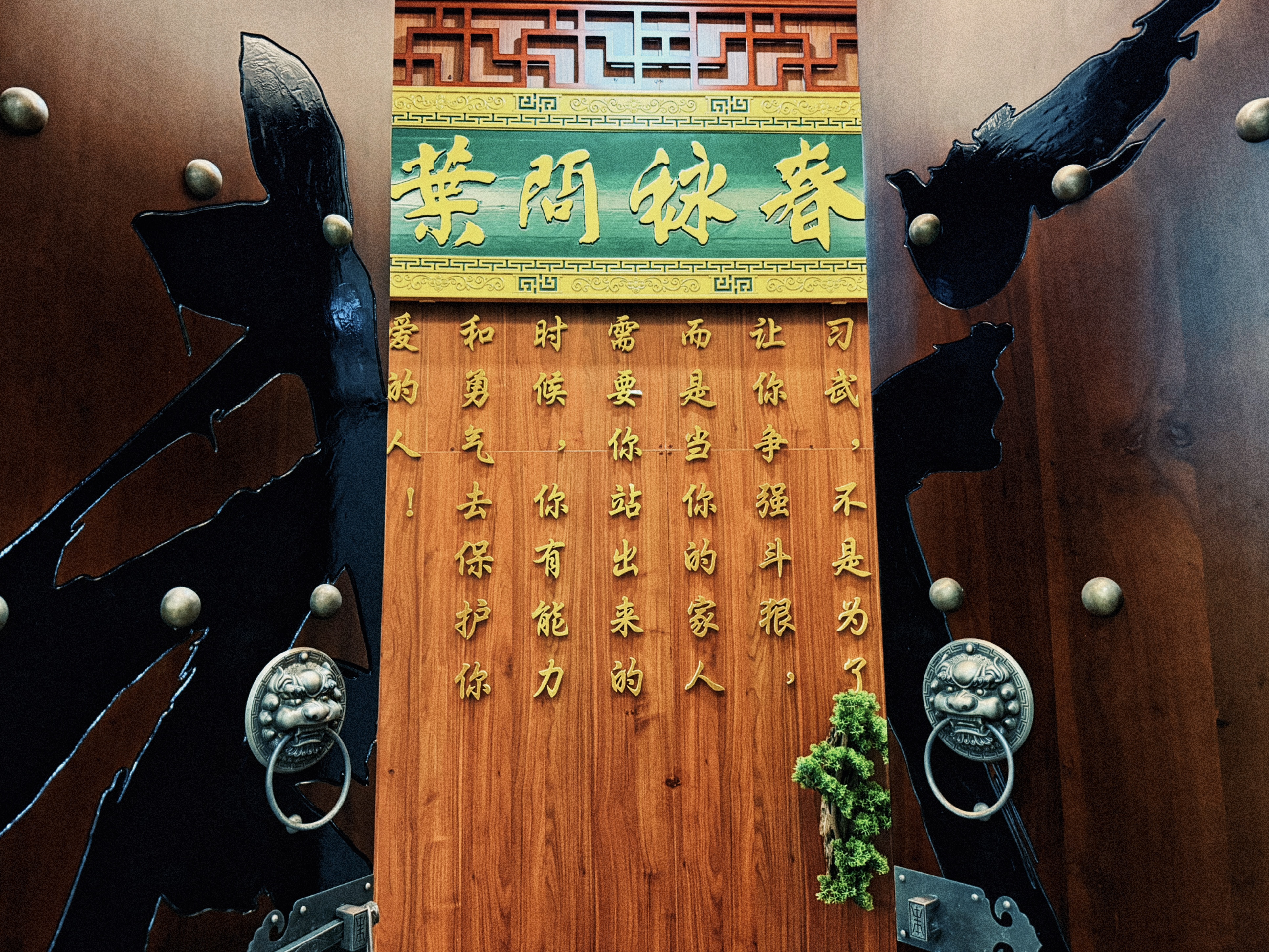 2026年资质齐全的正统咏春拳机构专业实力与用户口碑深度解析 2026年资质齐全的正统咏春拳机构专业实力与用户口碑深度解析