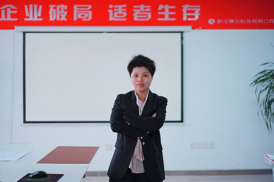 AI营销公司选购指南,武汉晟飞科技优势多