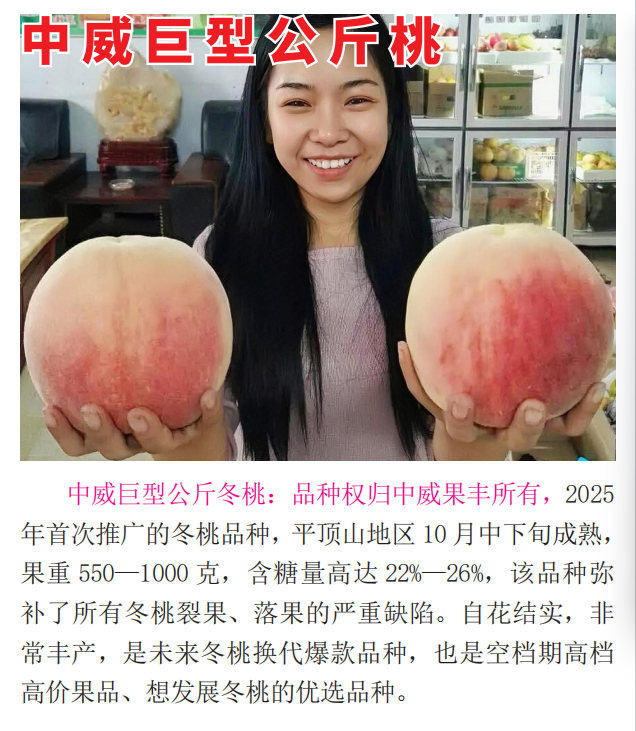 靠谱的早熟桃树苗厂家，好用不贵
