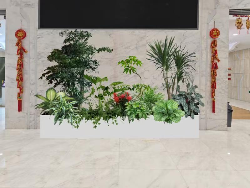 绿植租赁企业如何选择？锦绣御景花卉告诉你