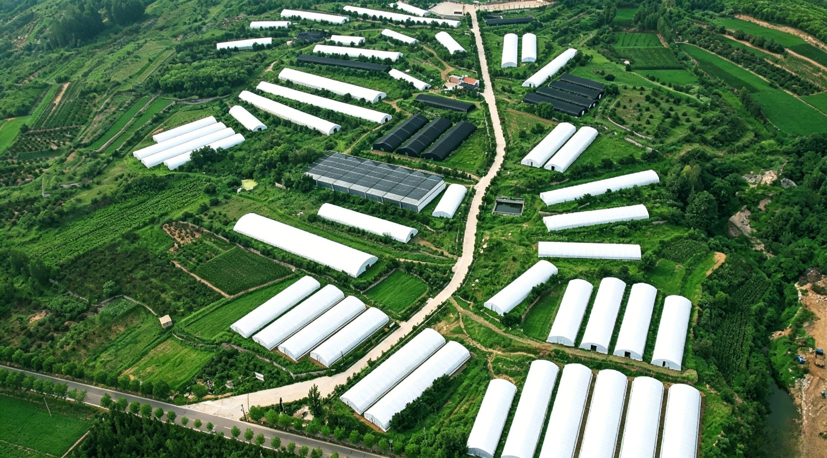 2026年山东能提供1对1服用指导的灵芝孢子粉，哪家靠谱
