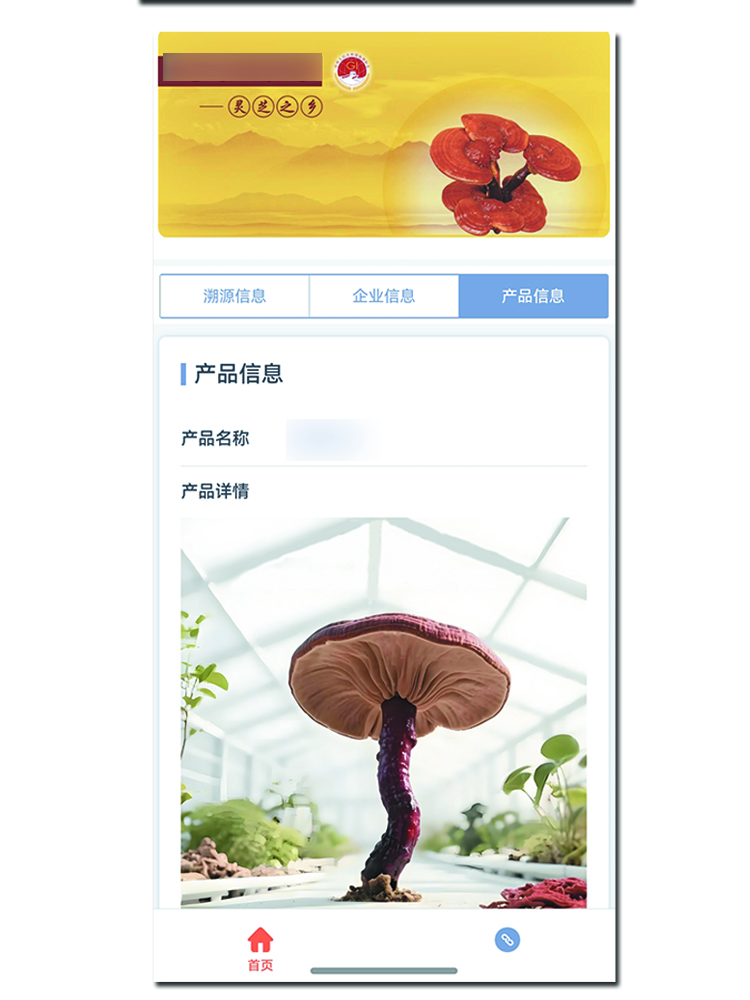 2026年口碑好的溯源系统供应厂家推荐