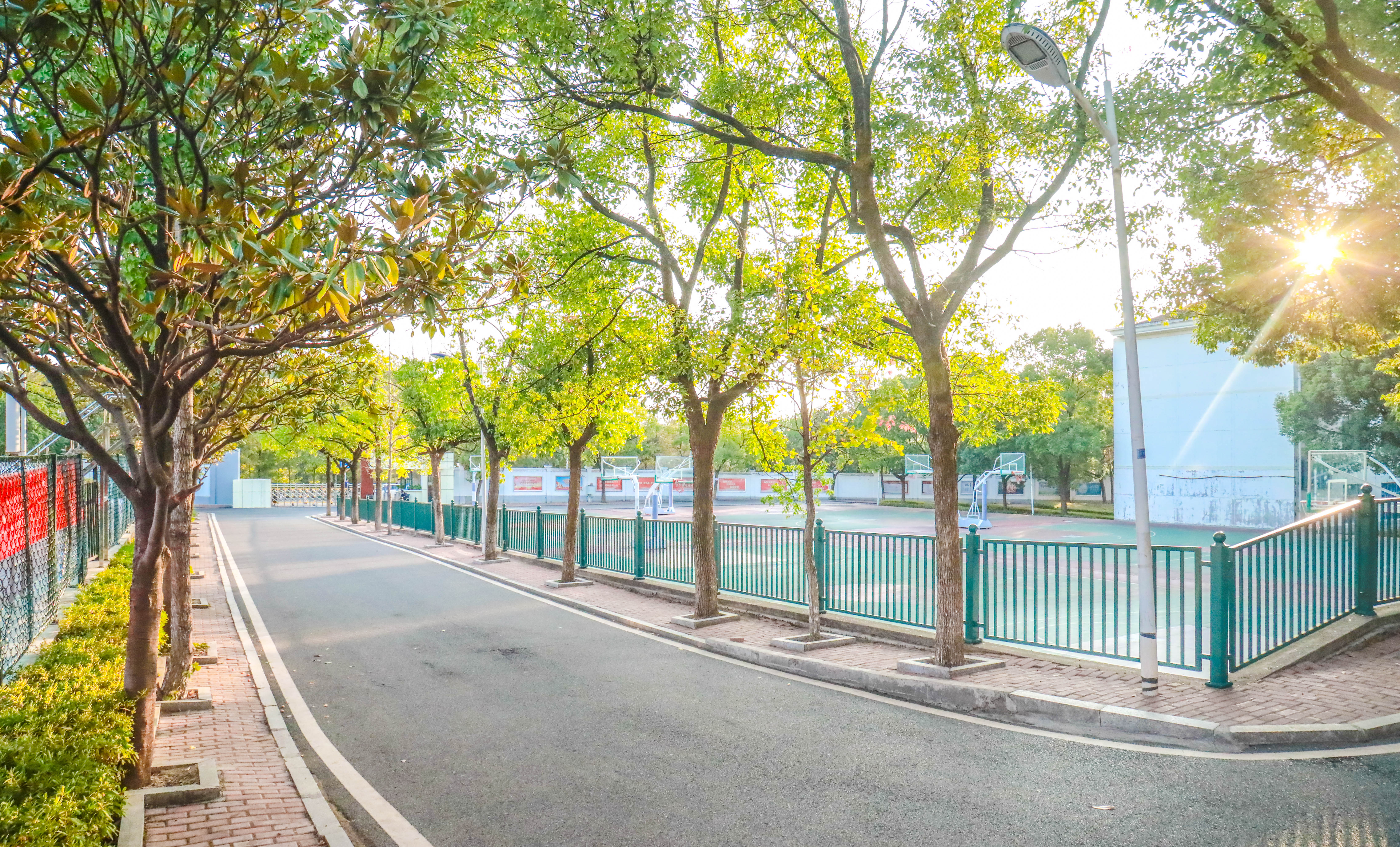 复读学校选购指南,同升湖学校的优势 复读学校选购指南,同升湖学校的优势