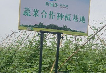 2026年靠谱的团餐食材供应公司推荐，用户力荐实力参考