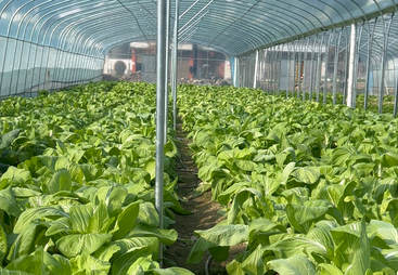 2026年口碑好的肉类配送企业推荐，广受信赖的食材供应商盘点