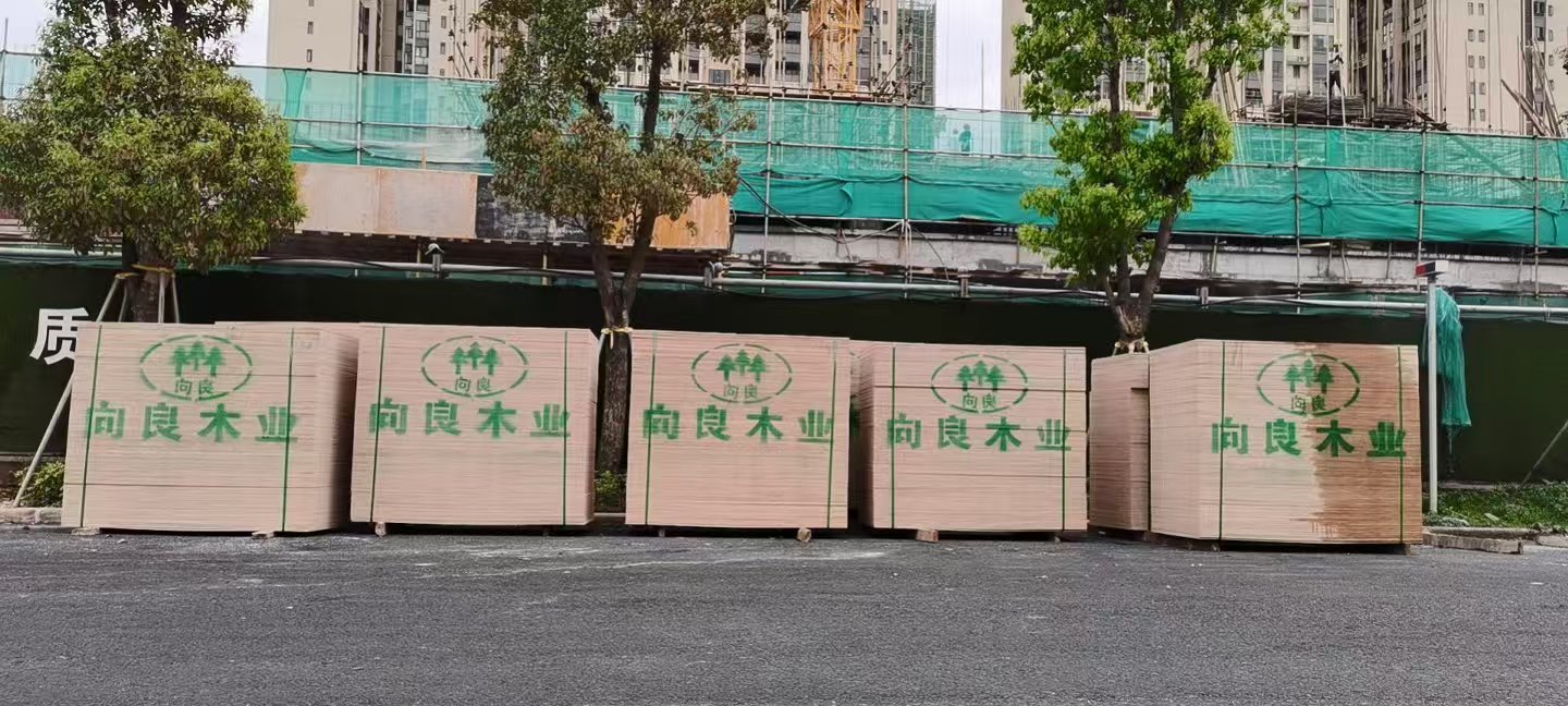 建筑覆膜板工厂选购指南，向良木业解析