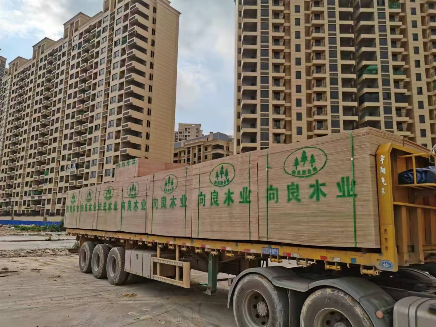 双重烘干建筑覆膜板工厂推荐，向良木业，质量上乘