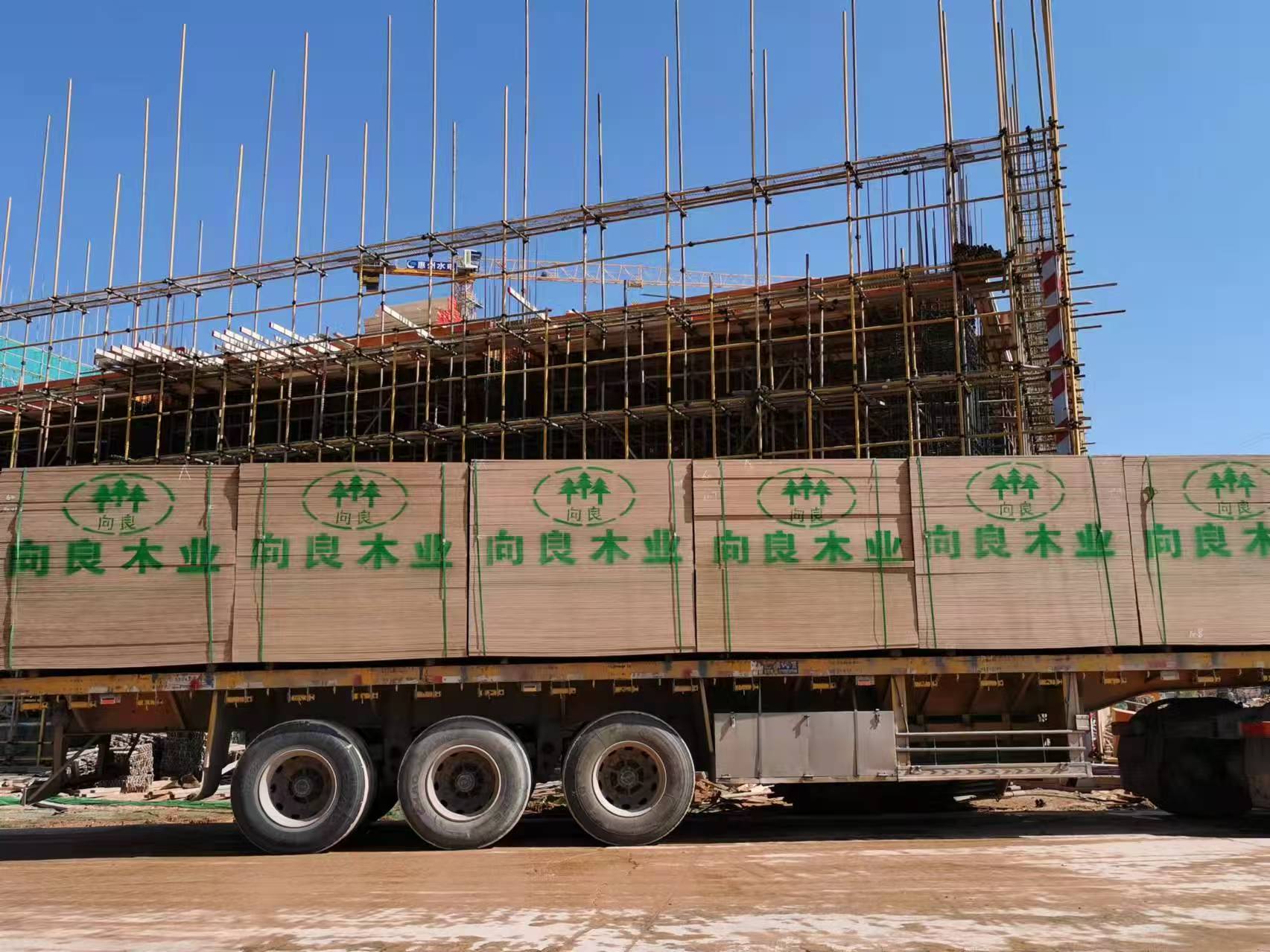 口碑好的建筑覆膜板工厂，向良木业靠谱吗