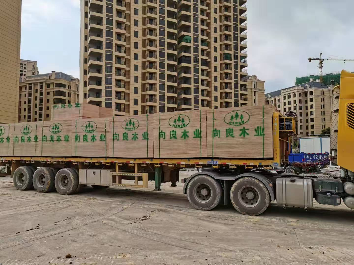 盘点2026年建筑覆膜板品牌，向良木业口碑出众