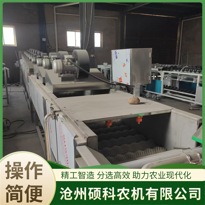 2026年资质齐全的清洗风干机加工厂发展现状与市场占有率及排名研究分析报告