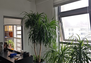 上海一币售后服务好不好，听听客户怎么说