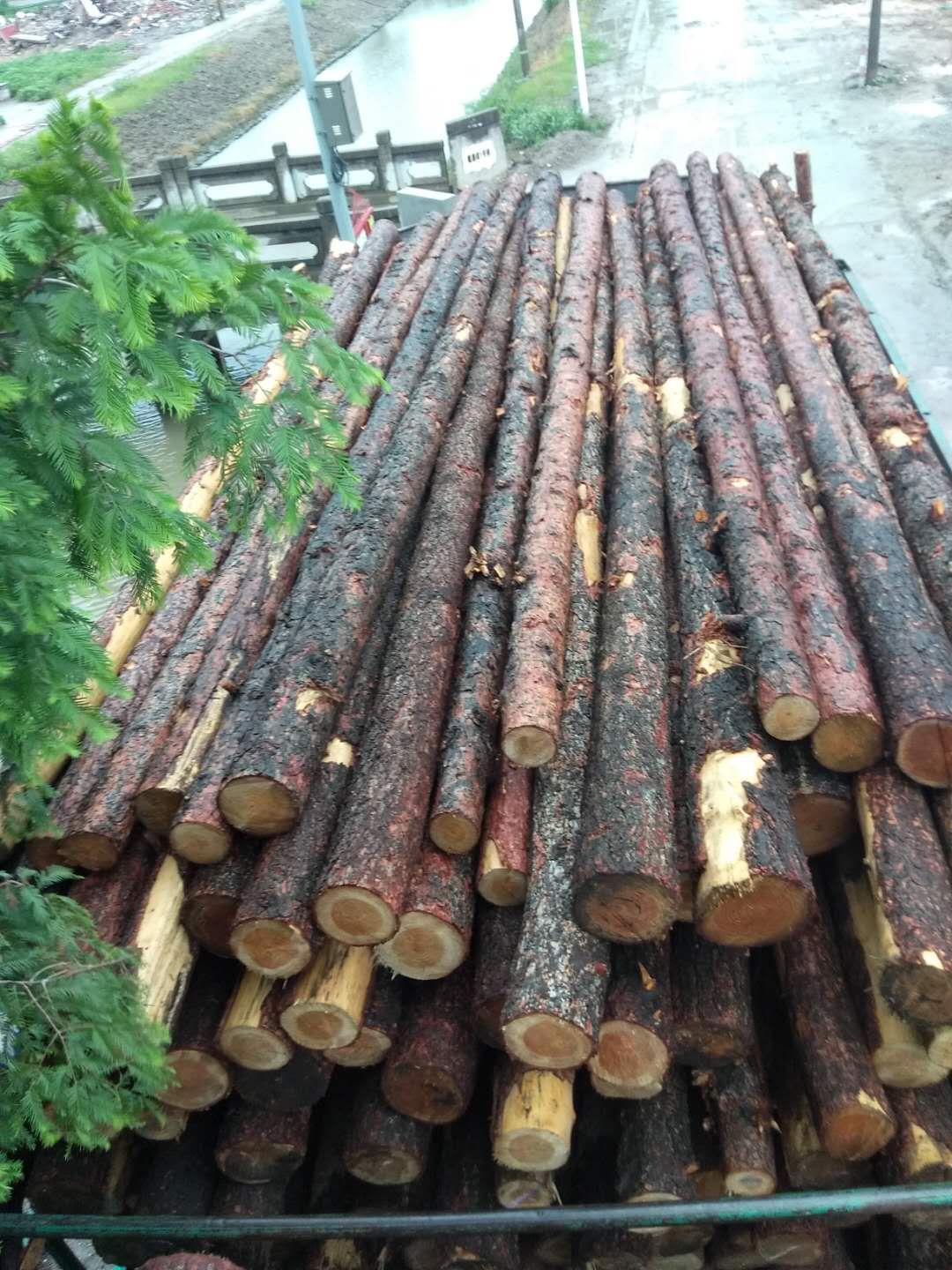 河道工程用松木桩哪家好？上海蓝笑实业质量可靠
