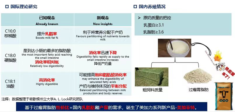 2026年济南美加力制造商靠谱商家测评排名