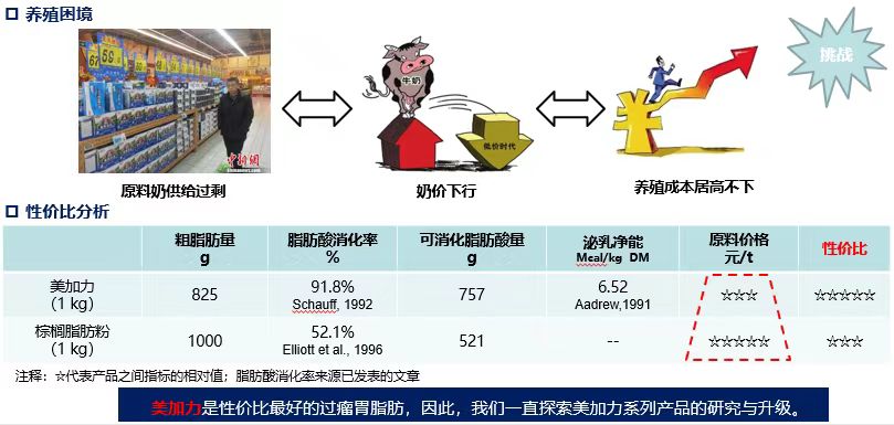 2026年用料扎实的牛羊饲料原料供应商企业全景分析