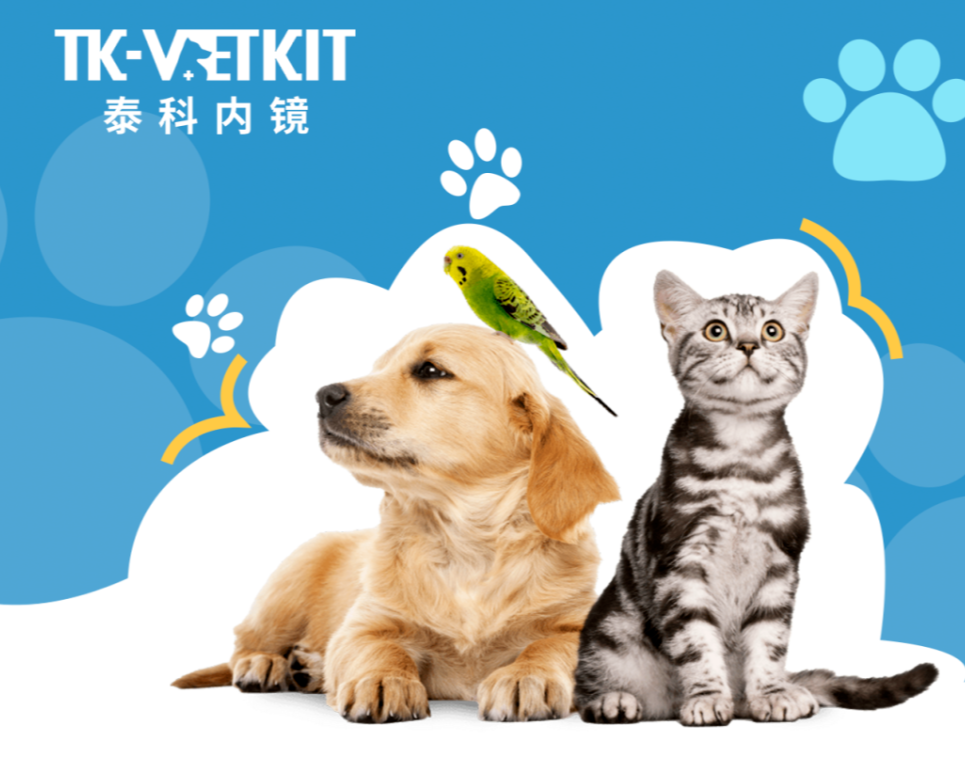 多功能动物内镜综合解决方案