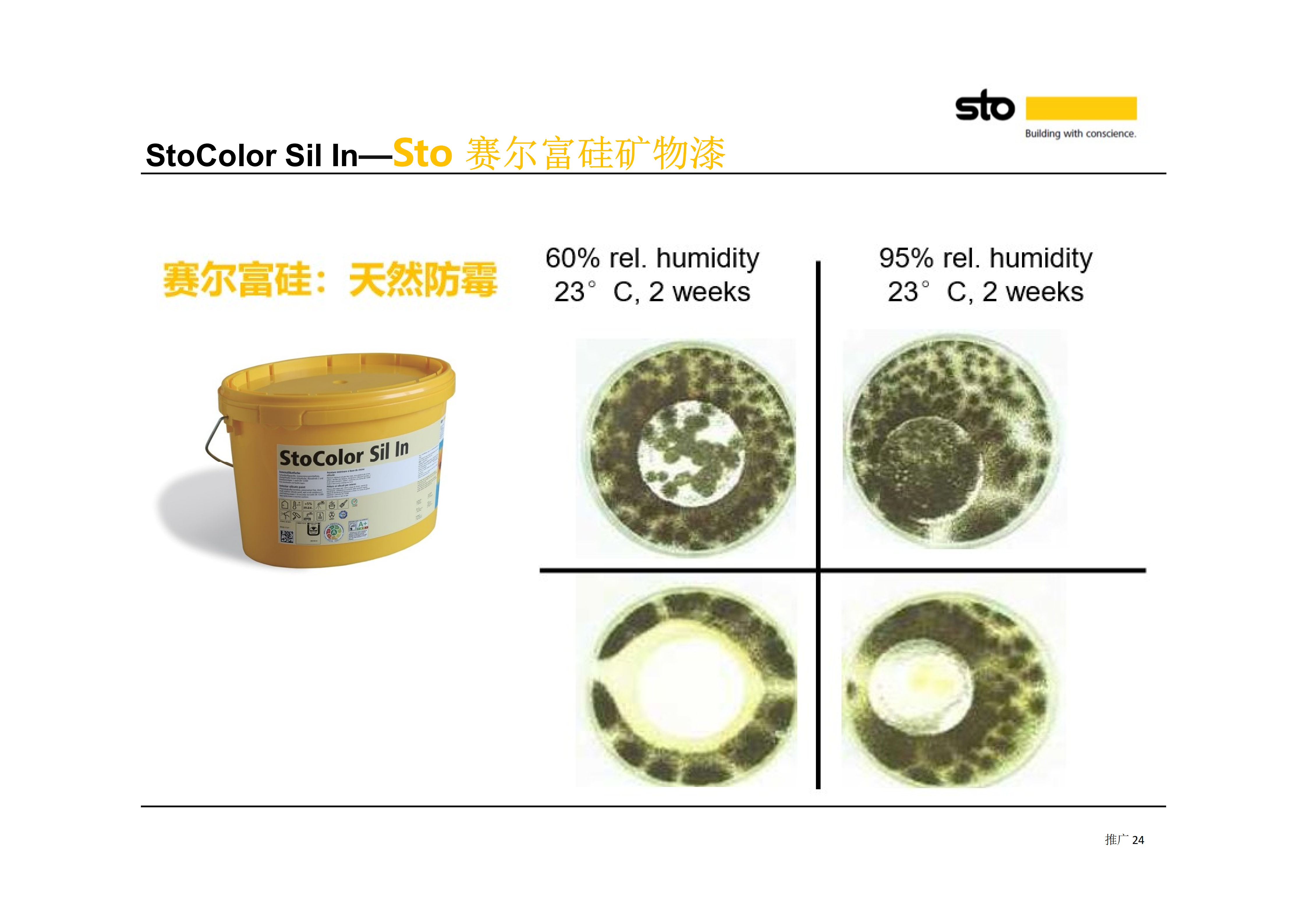 珠三角低饱和奶色系奶油风墙面漆支持批量拿货的源头生产厂家综合实力推荐