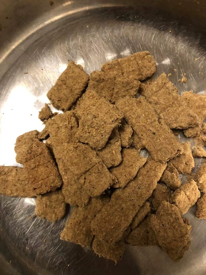2026年不含肉粉的烘焙狗粮品牌推荐：用户力荐的优质供应商实力盘点