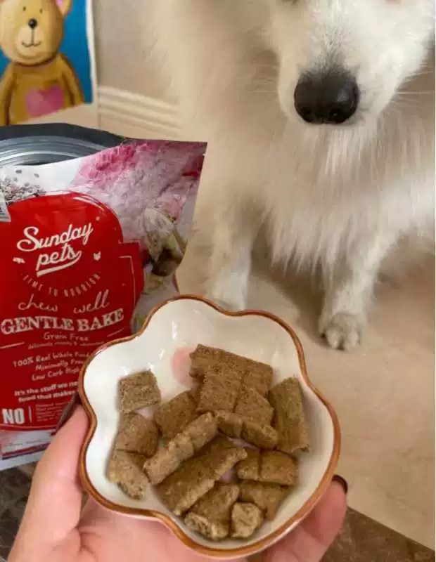 2026年小型犬狗粮品牌严选，成立多年的狗粮厂家行业现状与选择指南