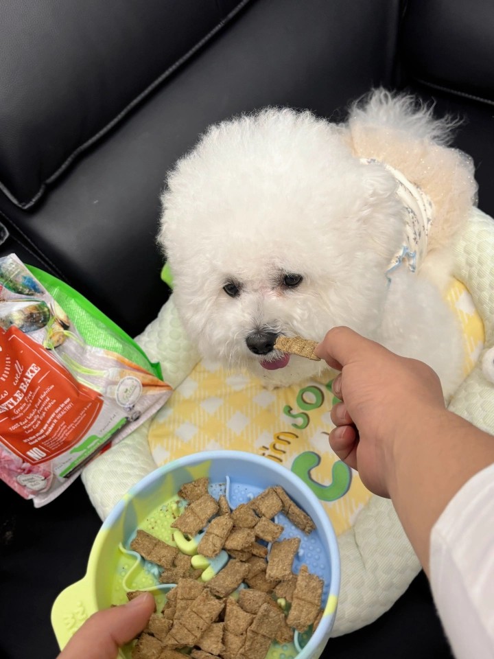SundayPets狗粮靠不靠谱,可信度高吗 SundayPets狗粮靠不靠谱,可信度高吗