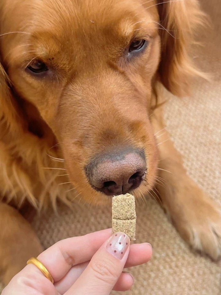 SundayPets|不爱吃干粮的狗软便吃什么粮|疫苗后的狗软便吃什么粮|驱虫后的狗软便吃什么粮|综合实力推荐 SundayPets|不爱吃干粮的狗软便吃什么粮|疫苗后的狗软便吃什么粮|驱虫后的狗软便吃什么粮|综合实力推荐