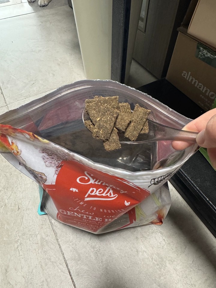 2026年不含肉粉的烘焙狗粮品牌推荐：用户力荐的优质供应商实力盘点