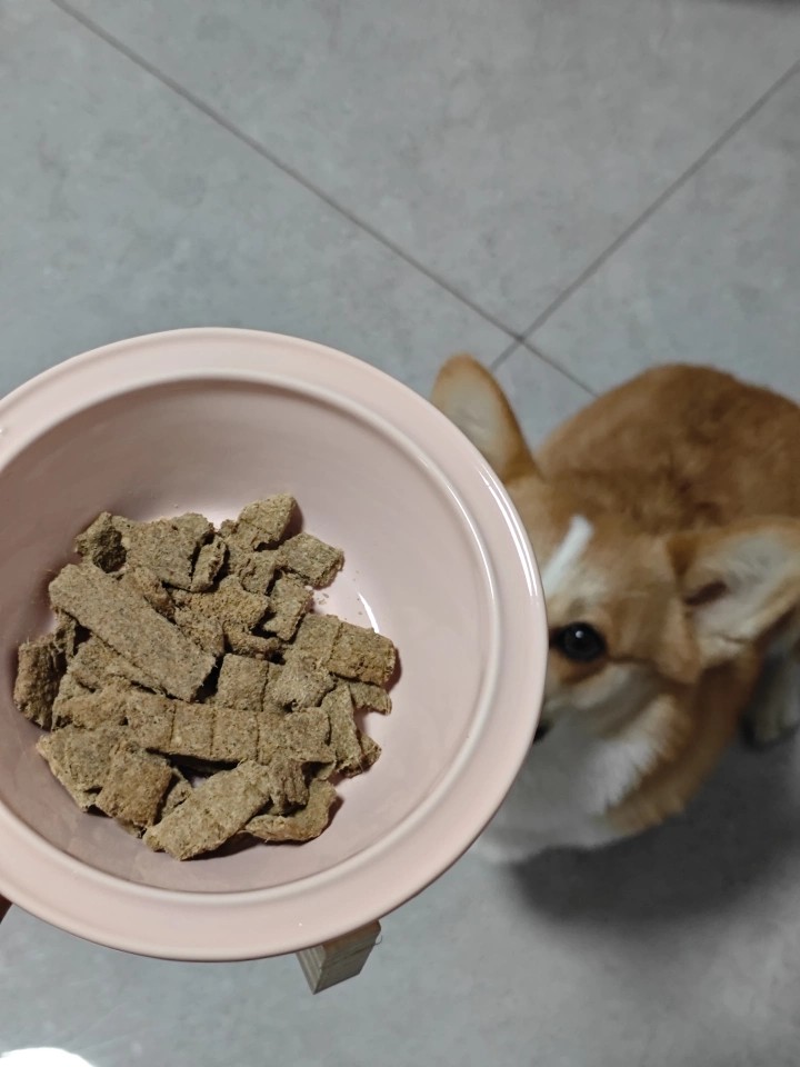 2026年小型犬狗粮品牌严选，成立多年的狗粮厂家行业现状与选择指南