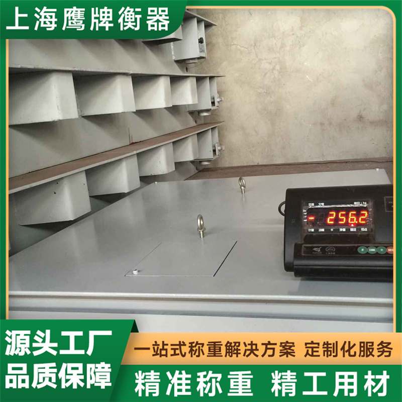 2026年电子地上衡制造商推荐，上海鹰牌衡器上榜