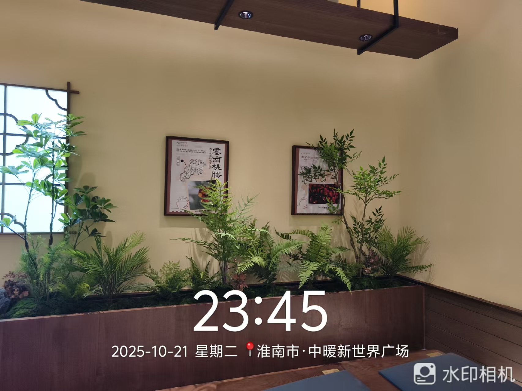 2026年口碑好的嘉兴茶饮连锁店装修机构能力调研报告