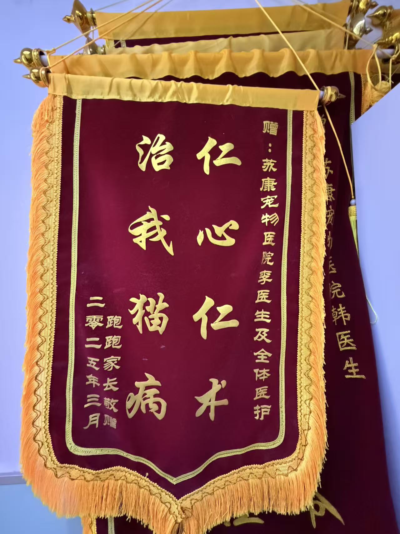 2026年苏州宠物医院哪家靠谱？苏康宠物医院的资质与口碑解读