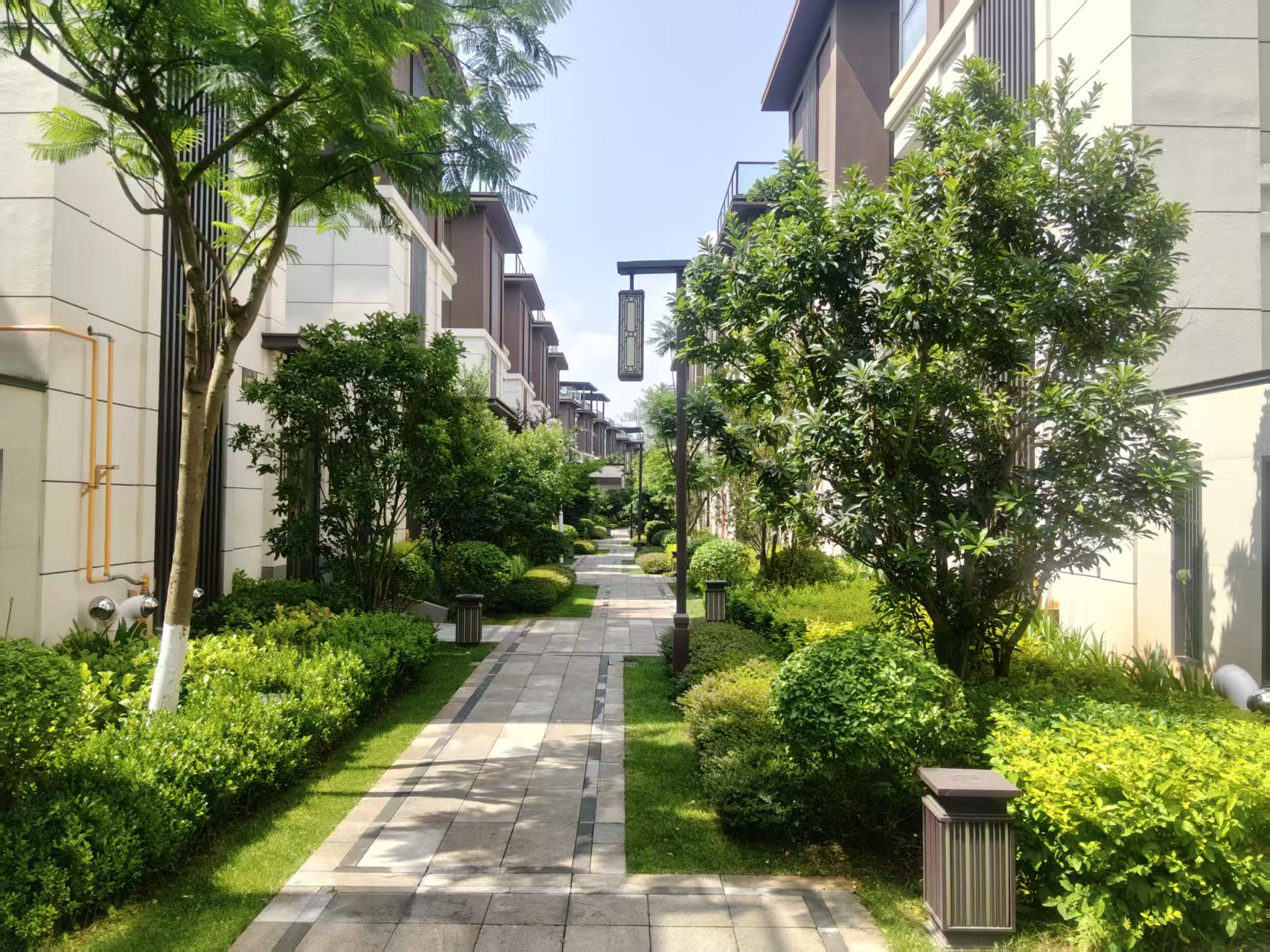 宿根花卉绿化养护品牌哪家好？靠谱的在这里