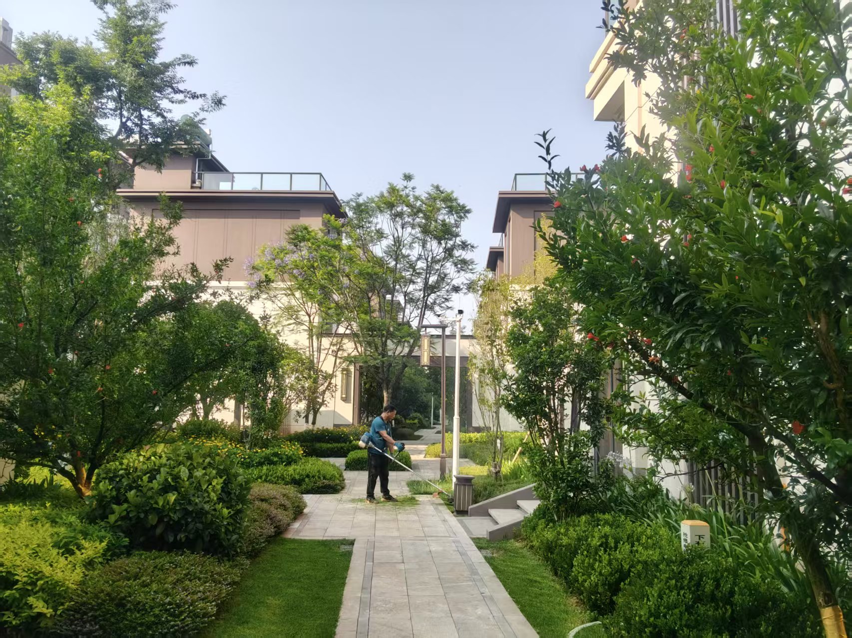 靠谱的绿化养护专业公司哪家好？深度评测与综合推荐