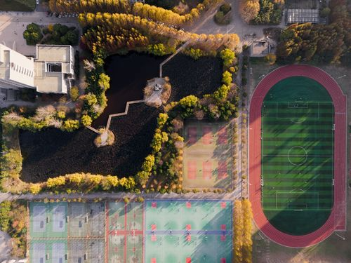 搏硕汇同等学力经济专业招生规模怎么样 搏硕汇同等学力经济专业招生规模怎么样