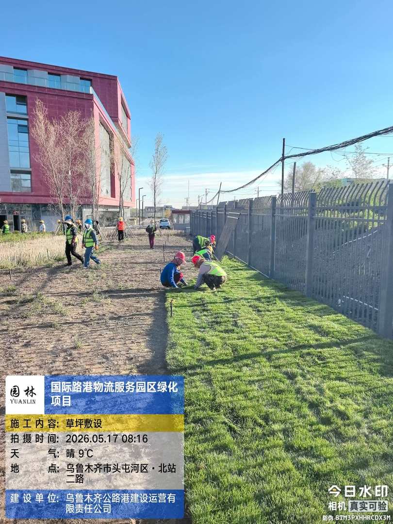 2026年靠谱的苗木批发合作社用户力荐