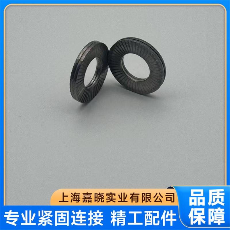 洛帝牢NLSPSS系列垫圈专业不专业