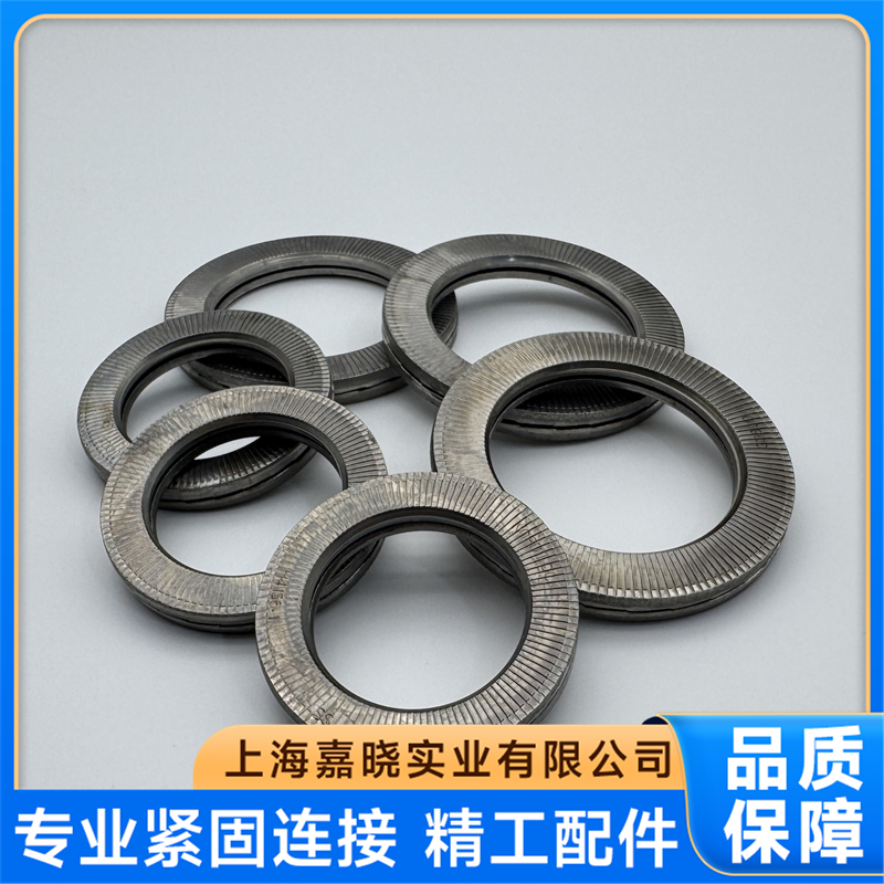 2026洛帝牢NLSS系列垫圈上佳供应商品牌实力测评，价格透明不踩坑