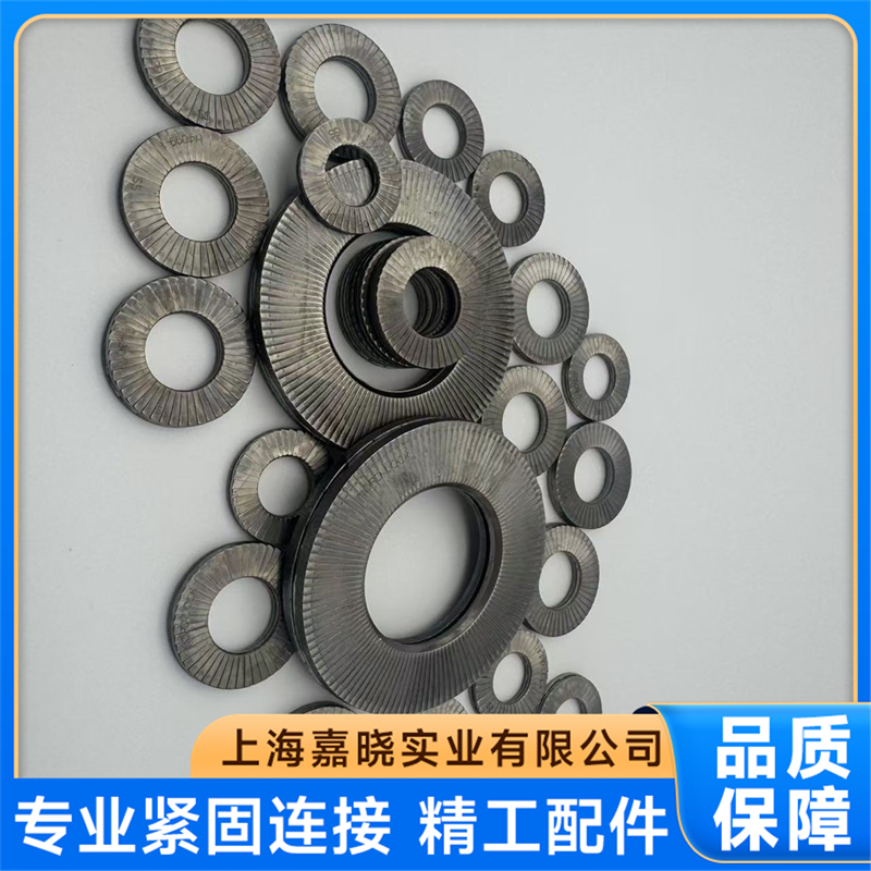上海嘉晓2026年洛帝牢NLSPSS系列垫圈厂推荐本地靠谱服务机构排行榜 上海嘉晓2026年洛帝牢NLSPSS系列垫圈厂推荐本地靠谱服务机构排行榜
