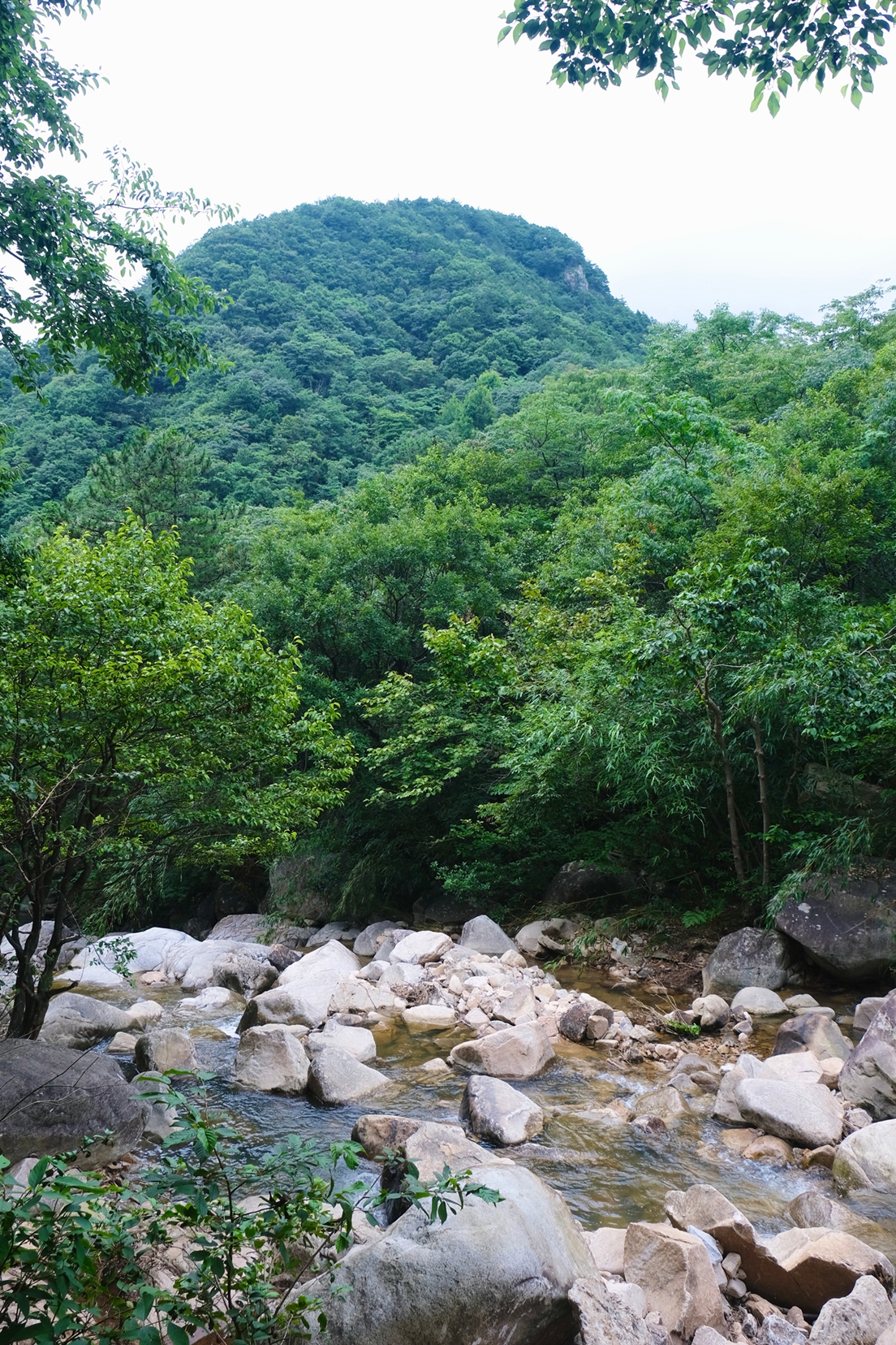 2026年合肥口碑好的旅游景区推荐机构公司推荐 2026年合肥口碑好的旅游景区推荐机构公司推荐
