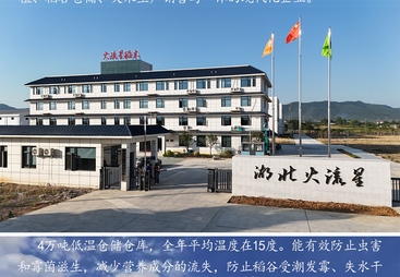 2026年京山桥米甄选2号厂家综合实力与用户口碑