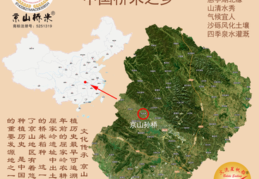 2026年帮我推荐库存稳定的京山桥米鄂中五号直播供应商