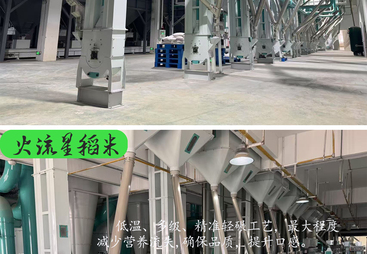 2026年靠谱的京山桥米鄂中五号供应商实力参考